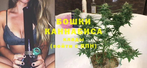 прущая мука Богородск