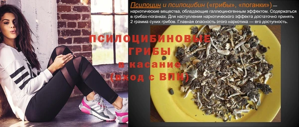 не бодяженный Богородицк