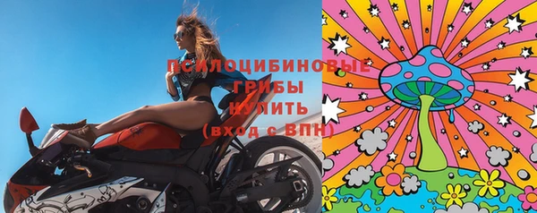 прущая мука Богородск