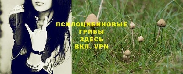 прущая мука Богородск