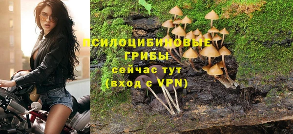 прущая мука Богородск