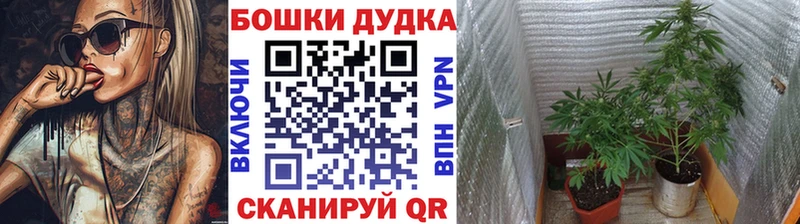 МАРИХУАНА OG Kush  купить наркотики цена  Тверь 